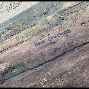 Meet your Posher, Sandi